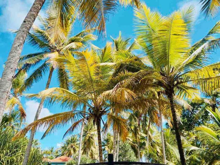 Sánchez Palm House - Luxury Villa - Samana - Ocean Front מראה חיצוני תמונה