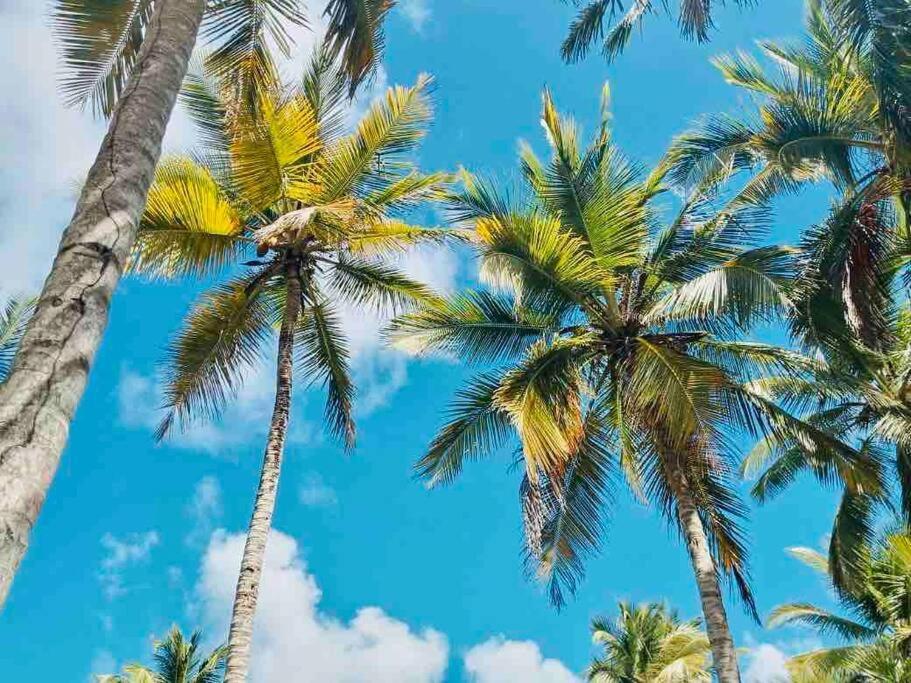 Sánchez Palm House - Luxury Villa - Samana - Ocean Front מראה חיצוני תמונה