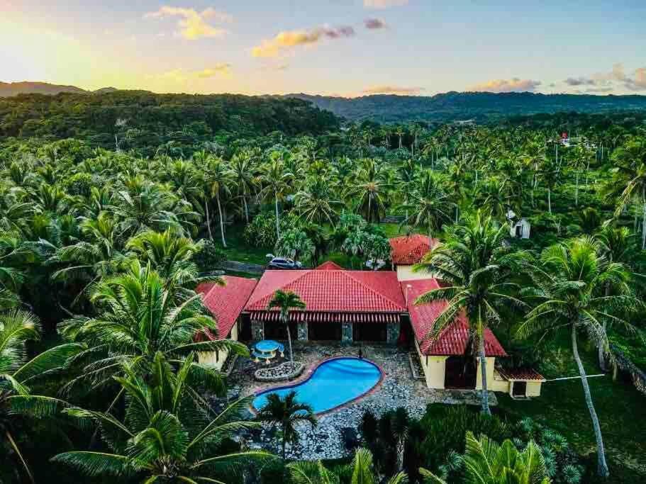 Sánchez Palm House - Luxury Villa - Samana - Ocean Front מראה חיצוני תמונה