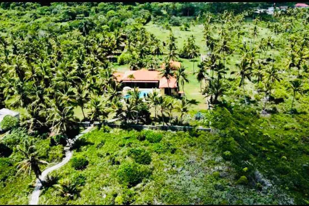 Sánchez Palm House - Luxury Villa - Samana - Ocean Front מראה חיצוני תמונה