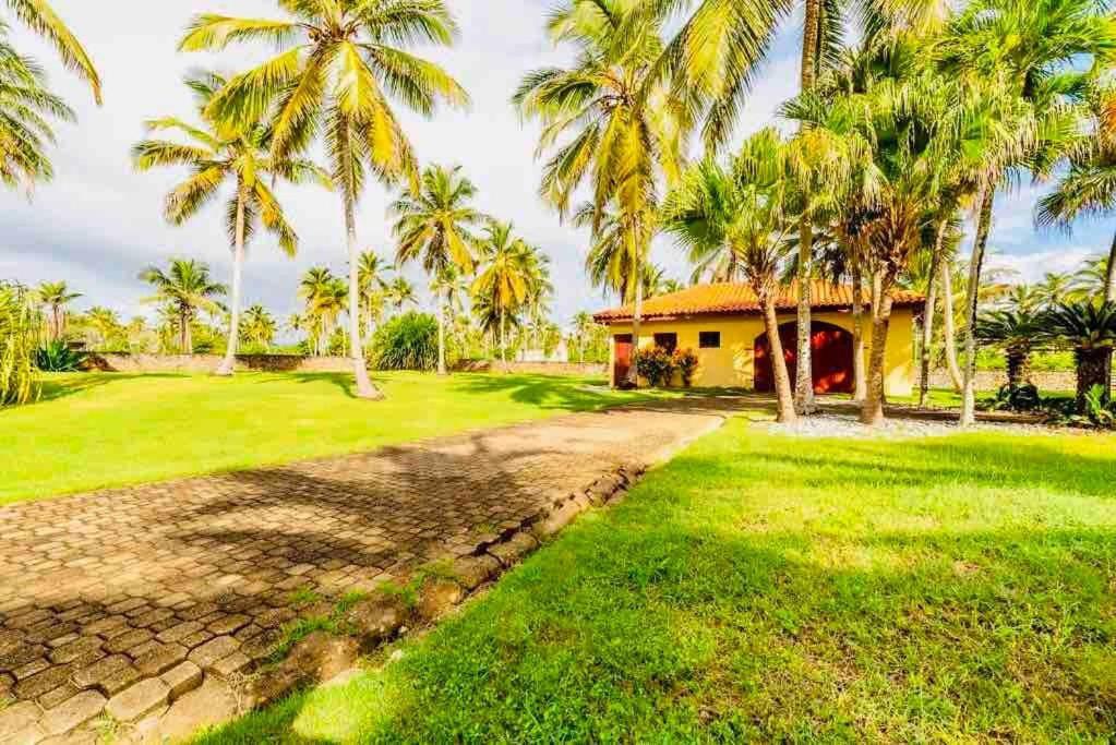Sánchez Palm House - Luxury Villa - Samana - Ocean Front מראה חיצוני תמונה