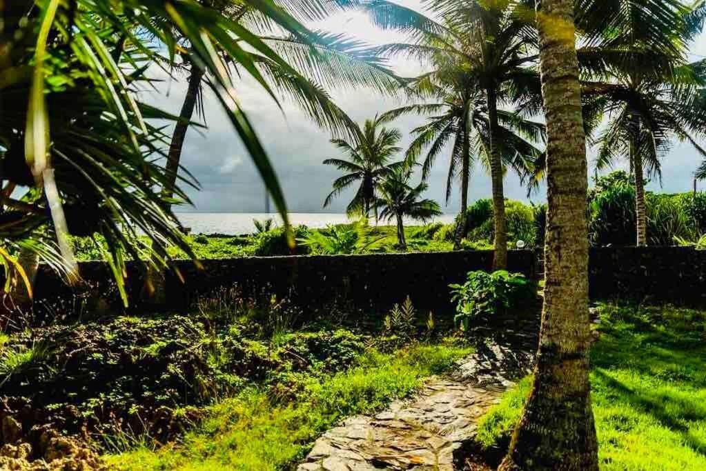 Sánchez Palm House - Luxury Villa - Samana - Ocean Front מראה חיצוני תמונה