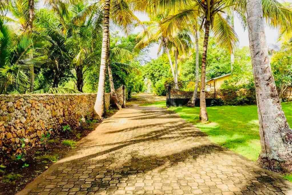 Sánchez Palm House - Luxury Villa - Samana - Ocean Front מראה חיצוני תמונה