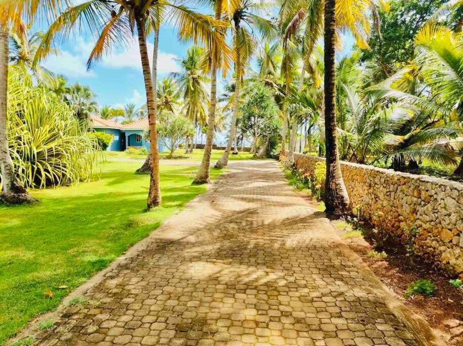Sánchez Palm House - Luxury Villa - Samana - Ocean Front מראה חיצוני תמונה