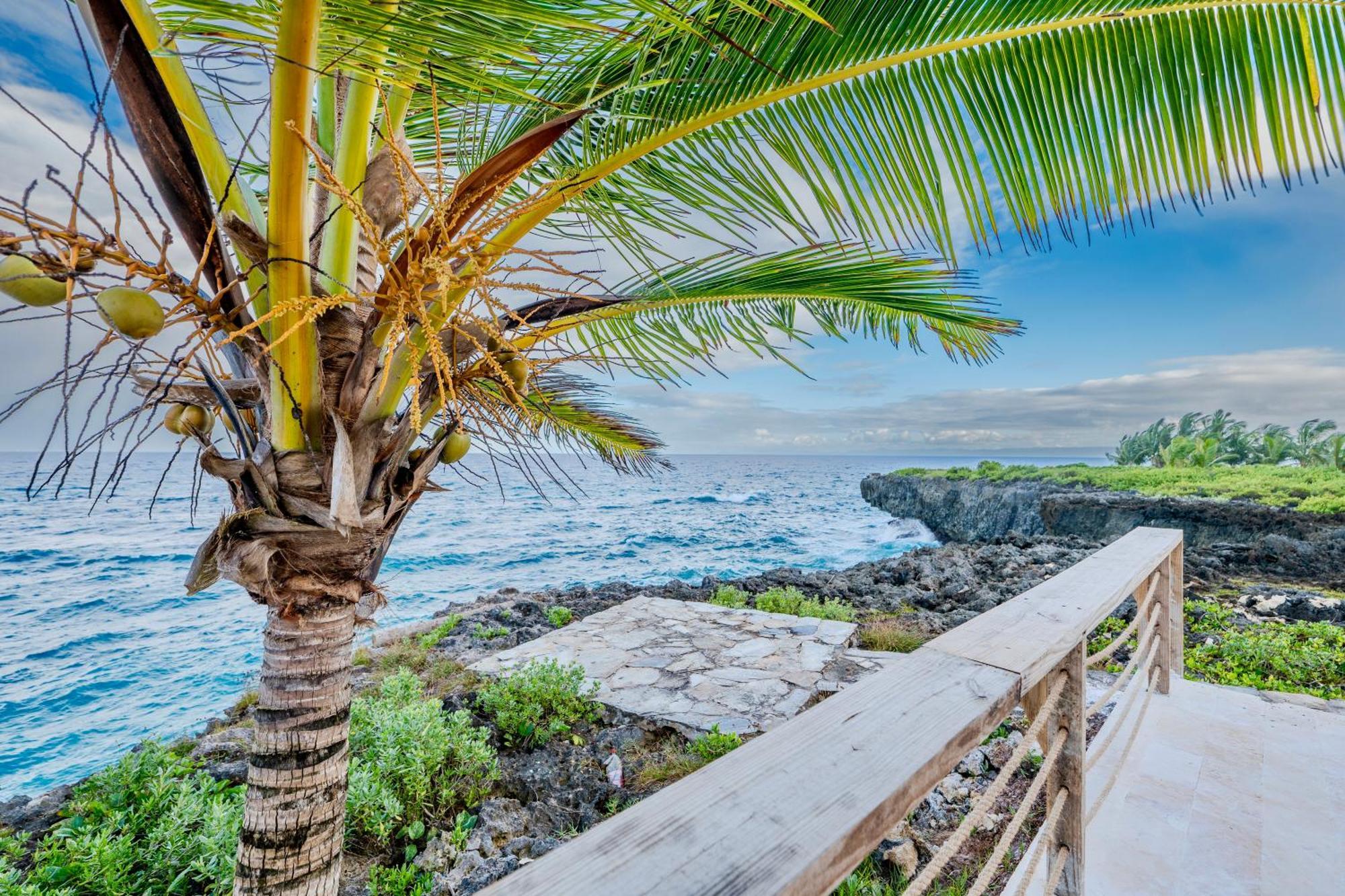 Sánchez Palm House - Luxury Villa - Samana - Ocean Front מראה חיצוני תמונה