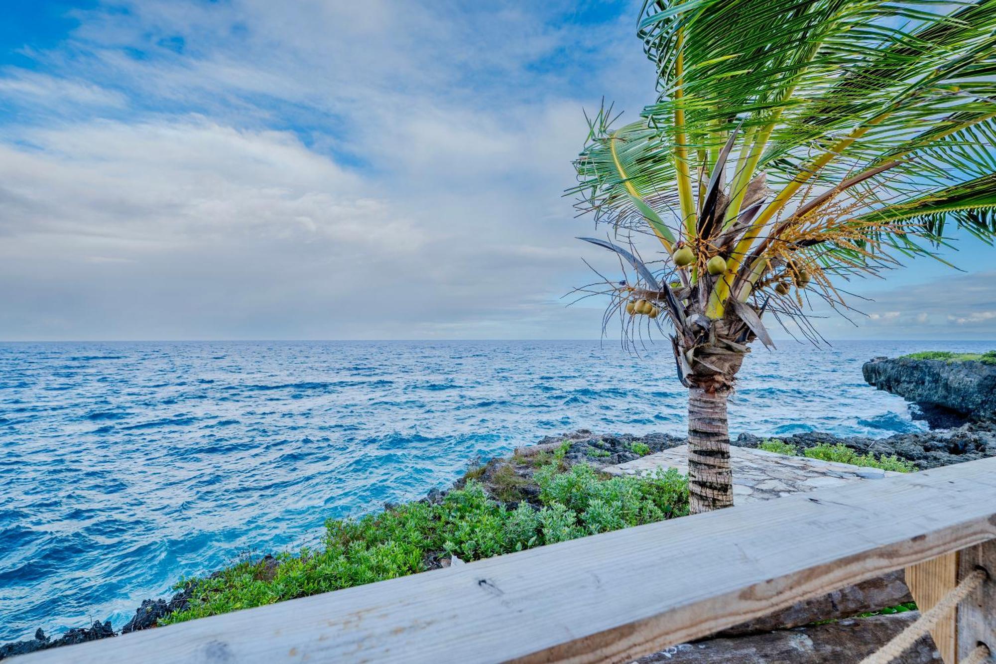 Sánchez Palm House - Luxury Villa - Samana - Ocean Front מראה חיצוני תמונה