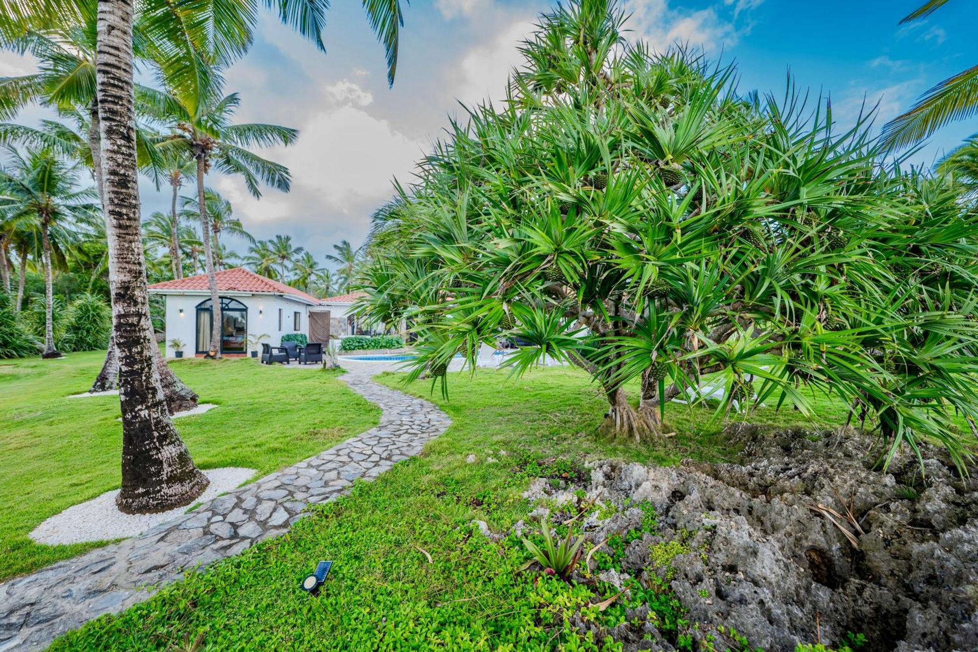 Sánchez Palm House - Luxury Villa - Samana - Ocean Front מראה חיצוני תמונה